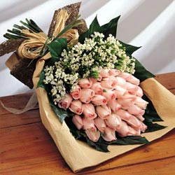 36 pink roses